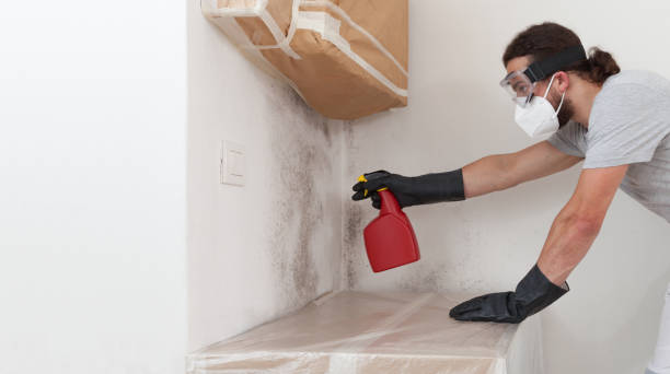 Professional Attic Mold Remediation technician working in West Babylon, NY
