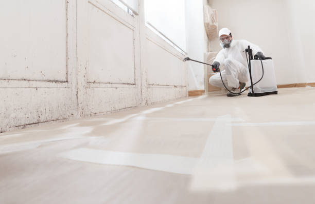 24/7 Emergency Attic Mold Remediation experts in West Babylon, NY